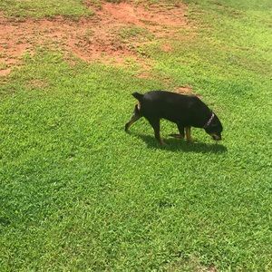 Meet your Posher, El malik